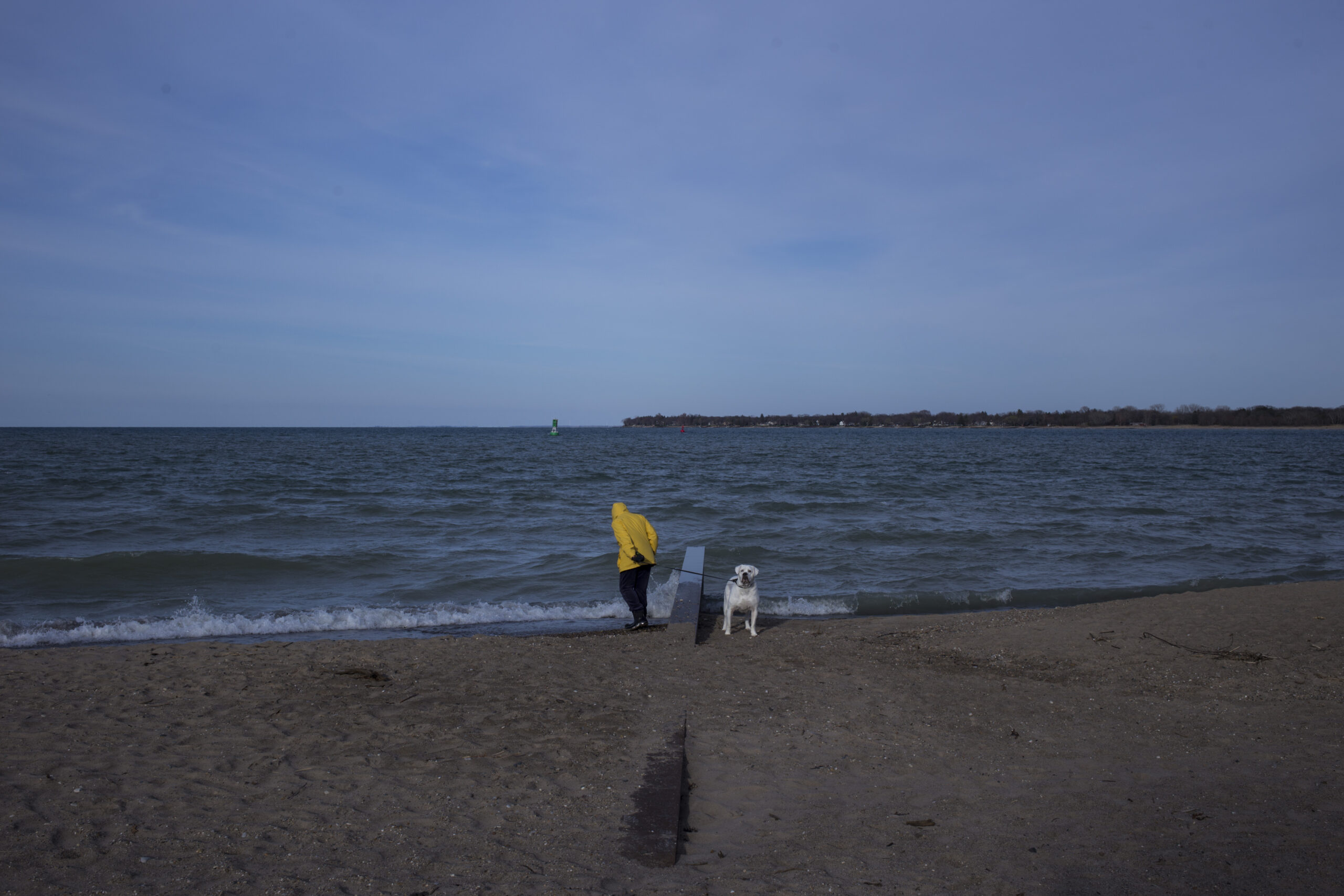 Person walks dog on the beach, lake in the background